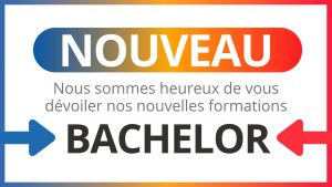 Nouveau : Bachelors